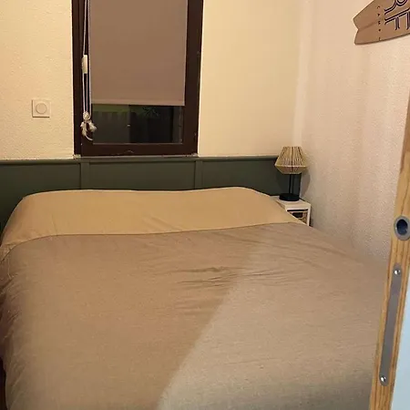 Apartment T2 Avec Grande Terrasse, Parking, Animaux Admis Et Piscine - Fr-1-195-94 *